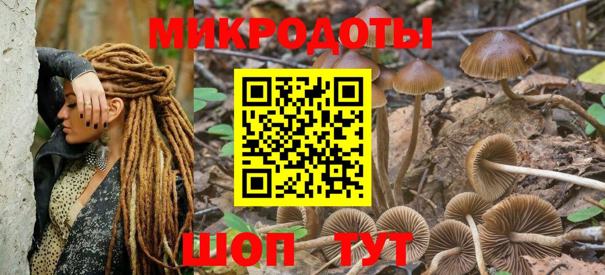 Галлюциногенные грибы MAGIC MUSHROOMS  Вход с VPN  Калач-на-Дону 