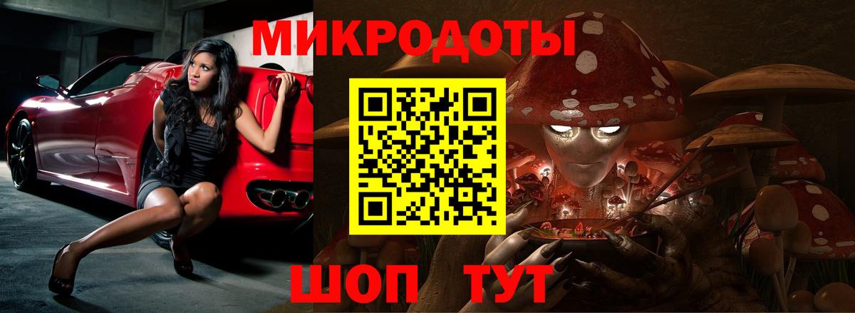 Псилоцибиновые грибы Cubensis Калач-на-Дону
