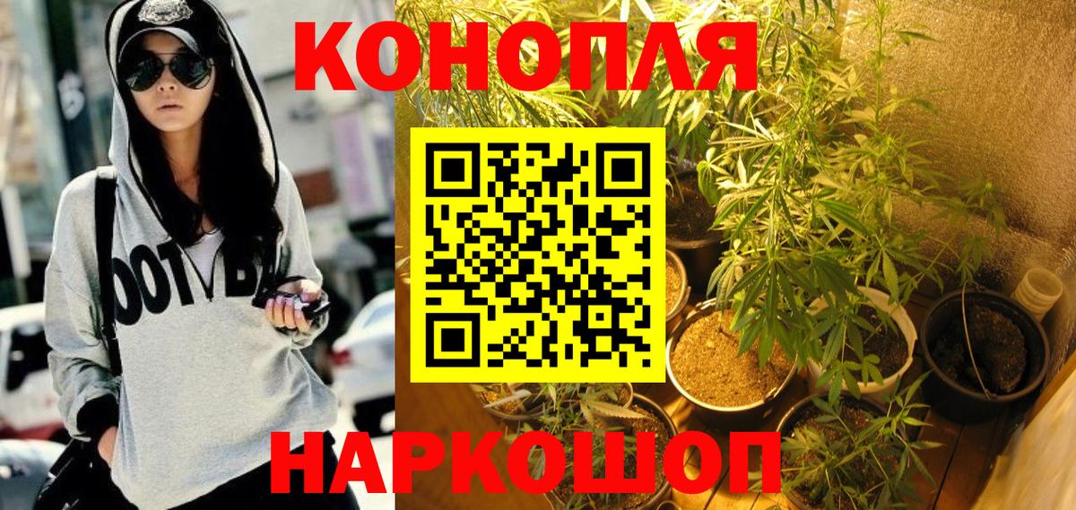 Калач-на-Дону  Конопля MAZAR  Конопля семена  Вход с VPN  Шишки марихуана план 